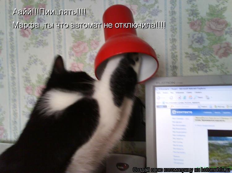 Котоматрица: Аайй!!!Пии..лять!!!! Марфа ,ты что автомат не отключила!!!!