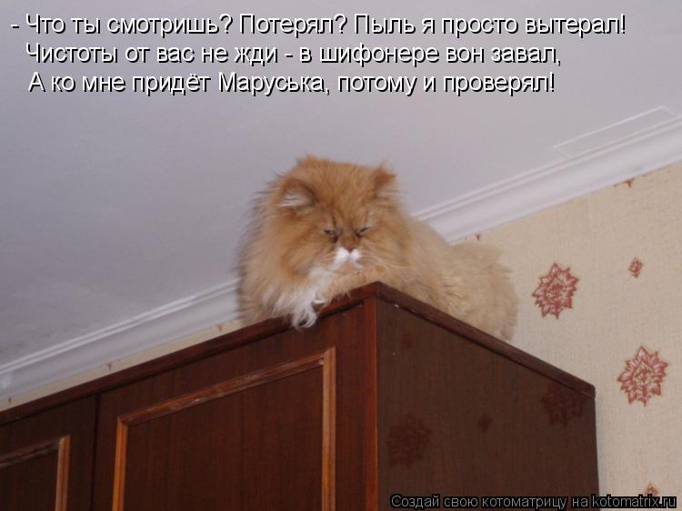 Котоматрица: - Что ты смотришь? Потерял? Пыль я просто вытерал! Чистоты от вас не жди - в шифонере вон завал, А ко мне придёт Маруська, потому и проверял!