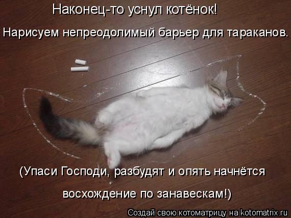 Котоматрица: Наконец-то уснул котёнок! Нарисуем непреодолимый барьер для тараканов. (Упаси Господи, разбудят и опять начнётся восхождение по занавескам