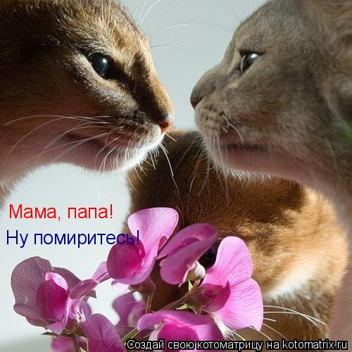 Котоматрица: Мама, папа! Ну помиритесь!