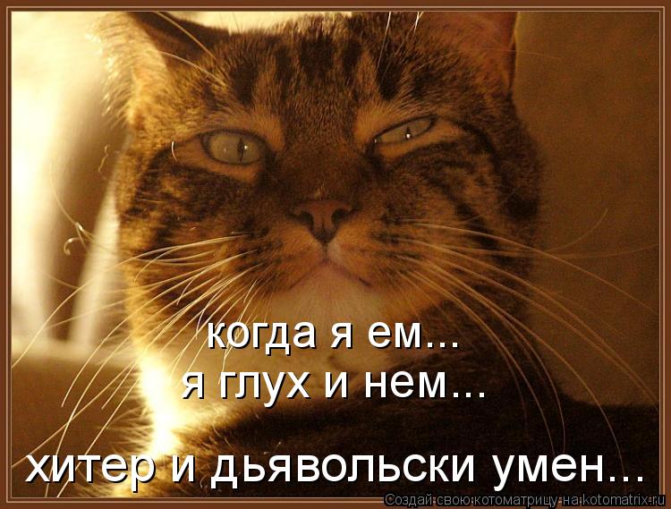 Котоматрица: когда я ем... я глух и нем... хитер и дьявольски умен...