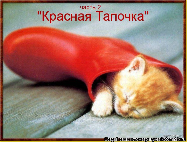 Котоматрица: "Красная Тапочка" часть 2