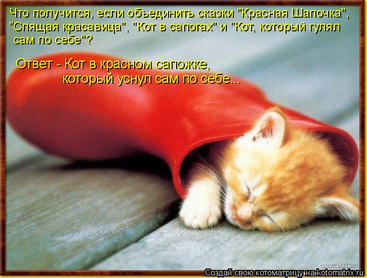 Что получится, если объединить сказки "Красная Шапочка", "Спящая красавица", "Кот в сапогах" и "Кот, ... Котоматрица: Что получится, если объединить сказки "Красная Шапочка", "Спящая красавица", "Кот в сапогах" и "Кот, который гулял сам по себе"? Ответ - Кот в кра