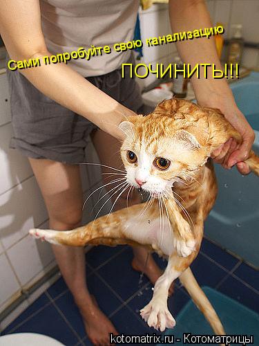Сами попробуйте свою канализацию ПОЧИНИТЬ!!!... Котоматрица: Сами попробуйте свою канализацию ПОЧИНИТЬ!!!
