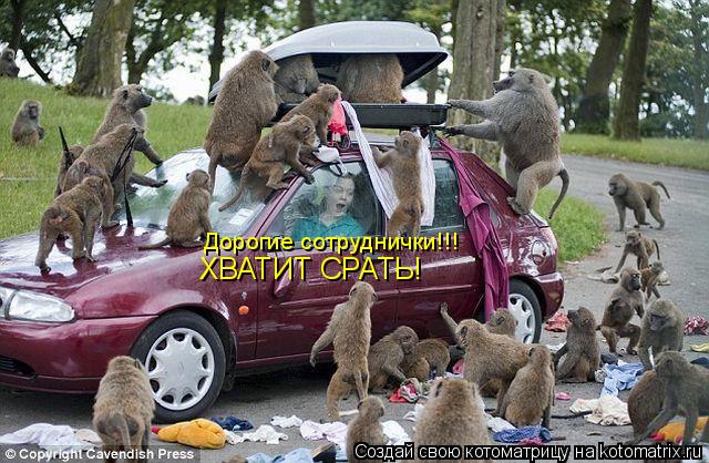 Дорогие сотруднички!!! ХВАТИТ СРАТЬ!... Котоматрица: Дорогие сотруднички!!! ХВАТИТ СРАТЬ!