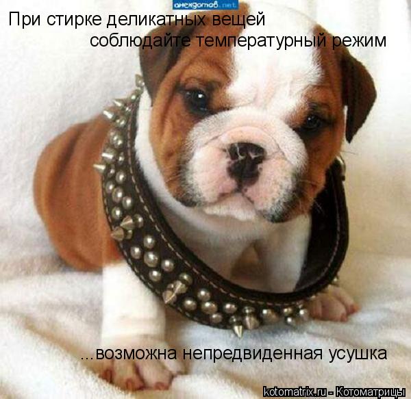 http://kotomatrix.ru/images/lolz/2009/08/05/334846.jpg