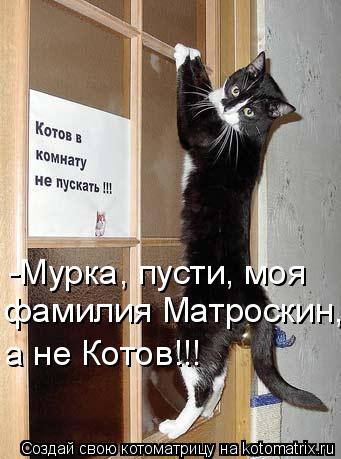 -Мурка, пусти, моя фамилия Матроскин, а не Котов!!!... Котоматрица: -Мурка, пусти, моя фамилия Матроскин, а не Котов!!!