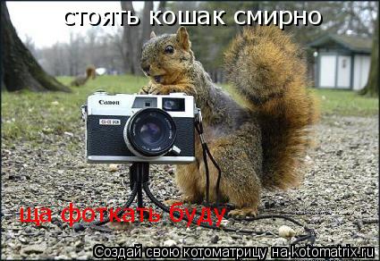 Котоматрица: стоять кошак смирно стоять кошак смирно ща фоткать буду