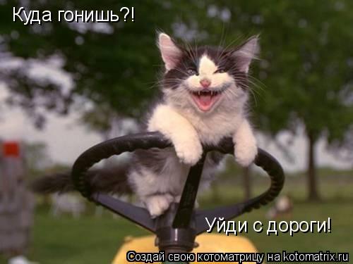 Котоматрица: Куда гонишь?! Уйди с дороги!