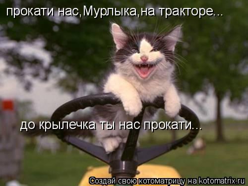 Котоматрица: прокати нас,Мурлыка,на тракторе... до крылечка ты нас прокати...