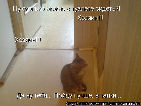 Котоматрица: Ну сколько можно в туалете сидеть?! Хозяин!!! Хозяин!!! Да ну тебя... Пойду лучше, в тапки...