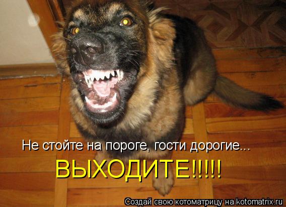 Котоматрица: Не стойте на пороге, гости дорогие... ВЫХОДИТЕ!!!!!
