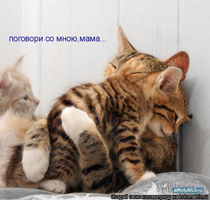 Котоматрица: поговори со мною,мама...