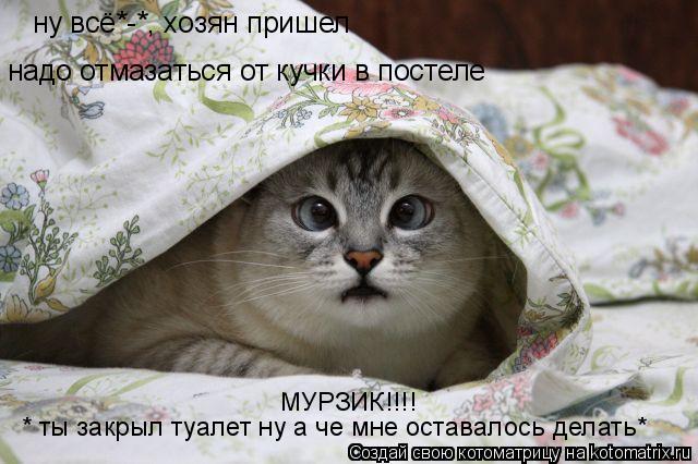 Котоматрица: ну всё*-*, хозян пришел надо отмазаться от кучки в постеле * ты закрыл туалет ну а че мне оставалось делать* МУРЗИК!!!!