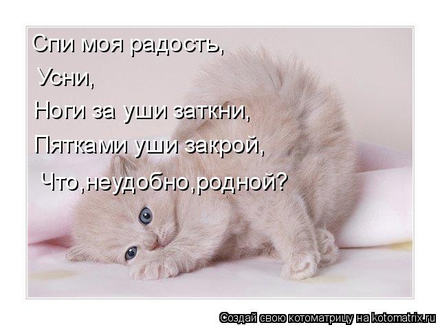 Котоматрица: Спи моя радость, Усни, Ноги за уши заткни, Пятками уши закрой, Что,неудобно,родной?