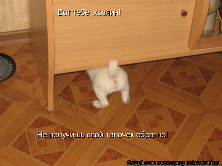 Вот тебе, хозяин! Не получишь свой тапочек обратно!... Котоматрица: Вот тебе, хозяин! Не получишь свой тапочек обратно!