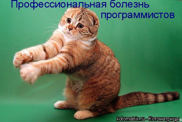 Котоматрица: Профессиональная болезнь программистов