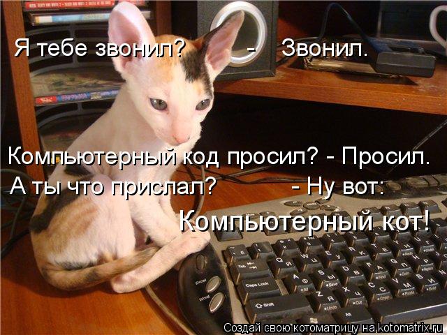 Я тебе звонил? - Звонил. Компьютерный код просил? - Просил. А ты что прислал? - ... Котоматрица: Я тебе звонил? - Звонил. Компьютерный код просил? - Просил. А ты что прислал? - Ну вот: Компьютерный кот!