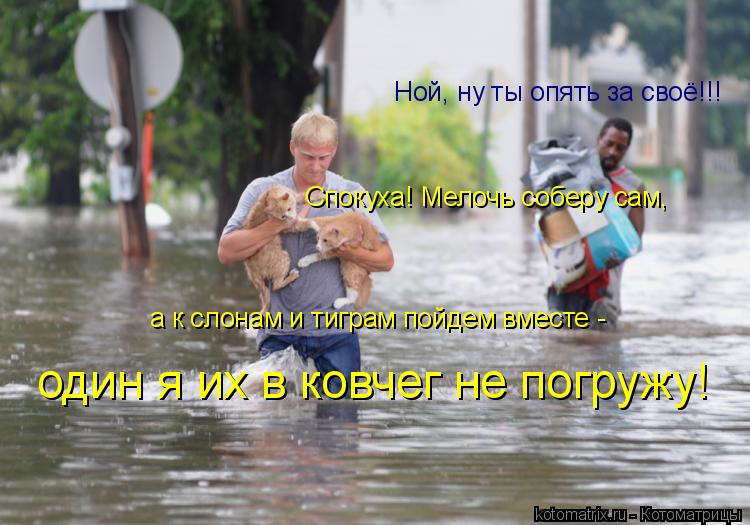 Котоматрица: Ной, ну ты опять за своё!!! Спокуха! Мелочь соберу сам, а к слонам и тиграм пойдем вместе -  один я их в ковчег не погружу!