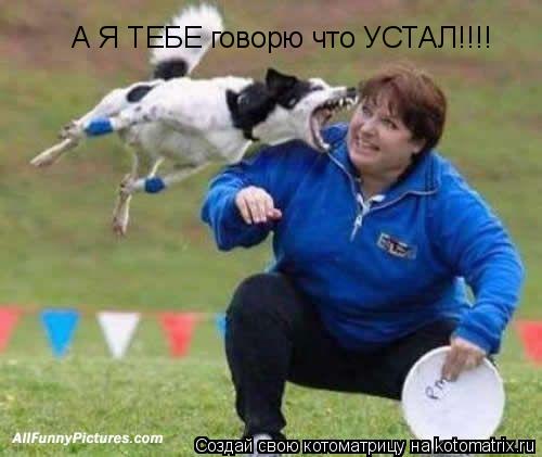 Котоматрица: А Я ТЕБЕ говорю что УСТАЛ!!!!