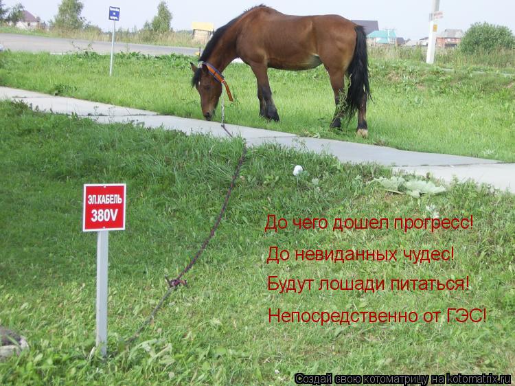 До чего дошел прогресс! До невиданных чудес! Будут лошади питаться! Непосредственно от ГЭС!... Котоматрица: До чего дошел прогресс! До невиданных чудес! Будут лошади питаться! Непосредственно от ГЭС!