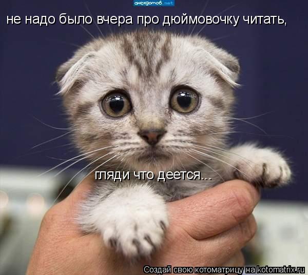 Котоматрица: не надо было вчера про дюймовочку читать, гляди что деется...