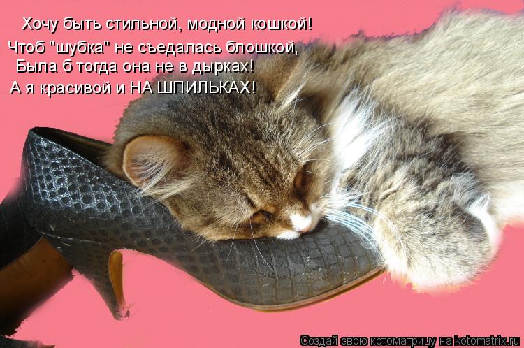 Котоматрица: Хочу быть стильной, модной кошкой! Чтоб "шубка" не съедалась блошкой, Была б тогда она не в дырках! А я красивой и НА ШПИЛЬКАХ!