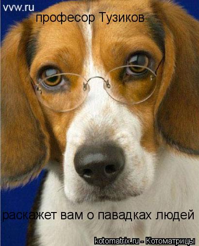 Котоматрица: професор Тузиков  раскажет вам о павадках людей