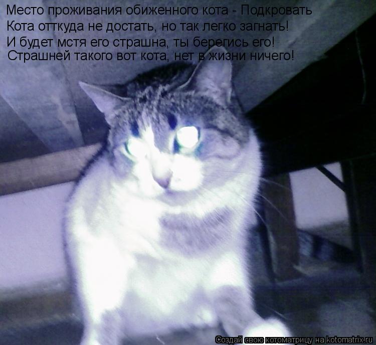 Котоматрица: Место проживания обиженного кота - Подкровать Кота отткуда не достать, но так легко загнать! И будет мстя его страшна, ты берегись его! Страш