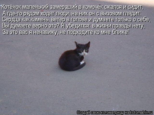 Котоматрица: Котёнок маленький замерзший в комочек сжался и сидит, А где-то рядом ходят люди, на них он с вызовом глядит: Сердца как камень, ветер в голове