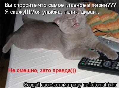 Вы спросите что самое главное в жизни??? Я скажу!!!Моя улыбка, телик, диван... Не смешно, зато правда... Котоматрица: Вы спросите что самое главное в жизни??? Я скажу!!!Моя улыбка, телик, диван... Не смешно, зато правда)))