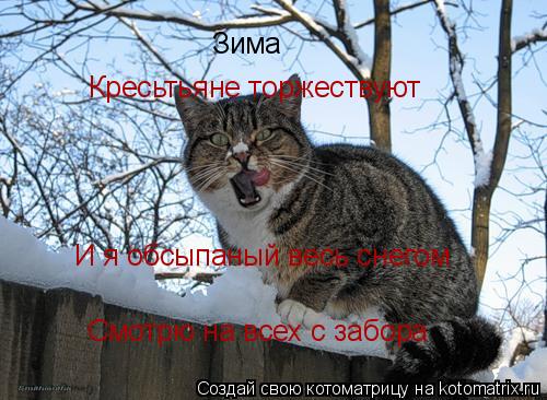 Котоматрица: Зима Кресьтьяне торжествуют И я обсыпаный весь снегом Смотрю на всех с забора