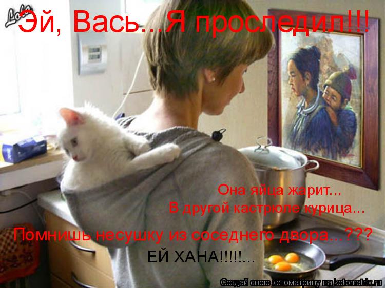 Эй, Вась...Я проследил!!! Помнишь несушку из соседнего двора...??? В другой кастрюле курица... Она яй... Котоматрица: Эй, Вась...Я проследил!!! Помнишь несушку из соседнего двора...??? В другой кастрюле курица... Она яйца жарит... ЕЙ ХАНА!!!!!...