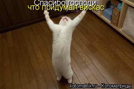 Котоматрица: Спасибо господи что придумал вискас