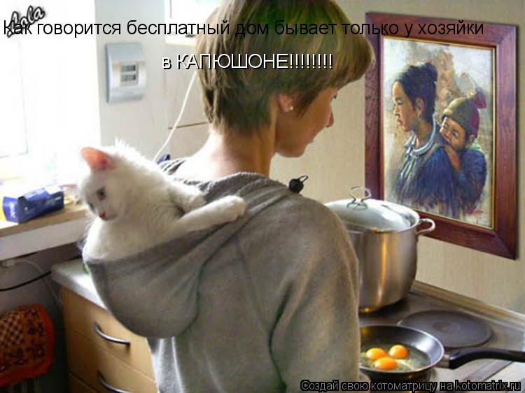 Котоматрица: Как говорится бесплатный дом бывает только у хозяйки в КАПЮШОНЕ!!!!!!!!