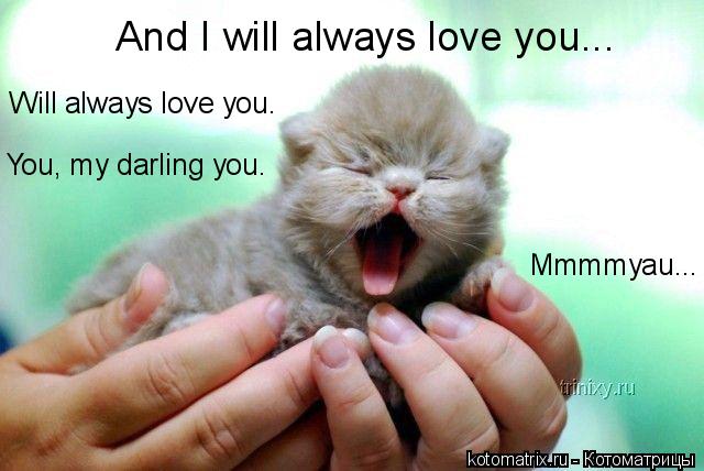 Котоматрица: And I will always love you... Will always love you. You, my darling you. Mmmmyau...