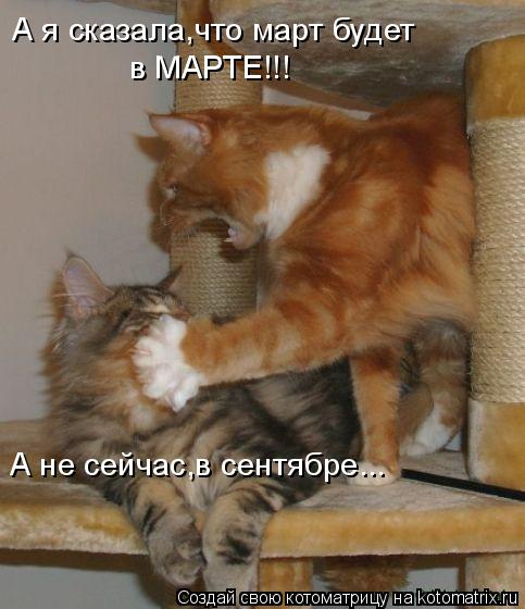 Котоматрица: А я сказала,что март будет в МАРТЕ!!! А не сейчас,в сентябре...