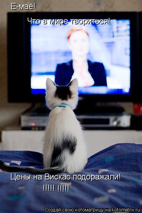 Котоматрица: Е-маё! Что в мире твориться! Цены на Вискас подоражали! !!!!! !!!!!