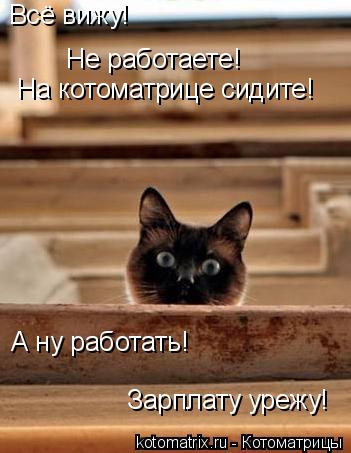 Котоматрица: Всё вижу! Не работаете! На котоматрице сидите! А ну работать! Зарплату урежу!