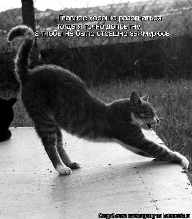 Котоматрица: Главное хорошо разогнаться тогда я точно допрыгну, а тчобы не было страшно зажмурюсь