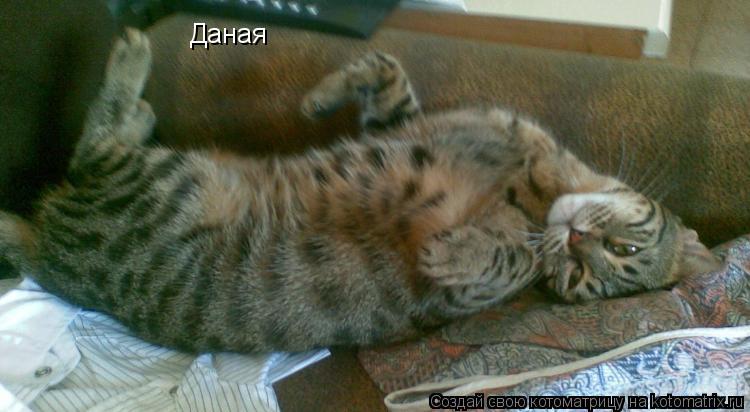 Котоматрица: Даная
