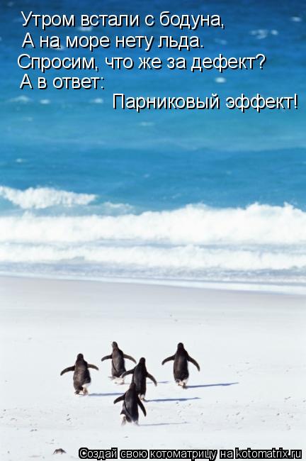 Котоматрица: Утром встали с бодуна, А на море нету льда. Спросим, что же за дефект? А в ответ: Парниковый эффект!