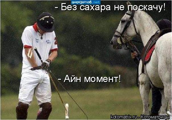 - Без сахара не поскачу! - Айн момент!... Котоматрица: - Без сахара не поскачу! - Айн момент!