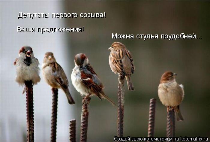 Депутаты первого созыва! Ваши предложения! Можна стулья поудобней...... Котоматрица: Депутаты первого созыва! Ваши предложения! Можна стулья поудобней...