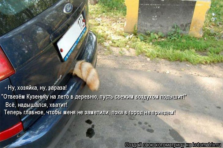 - Ну, хозяйка, ну, зараза! "Отвезём Кузеньку на лето в деревню, пусть свежим воздухом подышит!" Всё,... Котоматрица: - Ну, хозяйка, ну, зараза! "Отвезём Кузеньку на лето в деревню, пусть свежим воздухом подышит!" Всё, надышался, хватит! Теперь главное, чтобы м