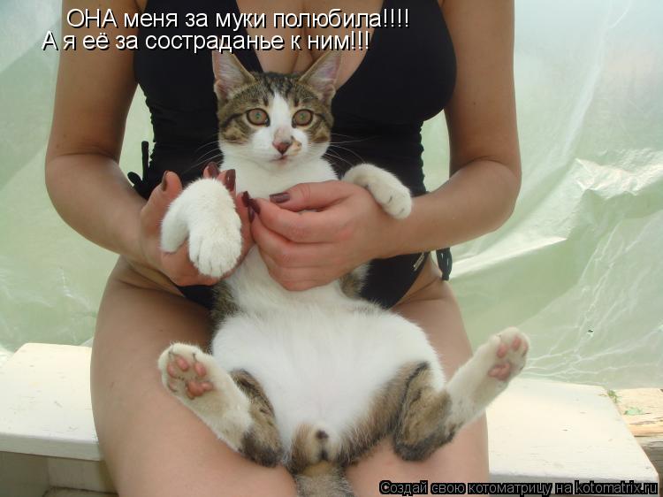 ОНА меня за муки полюбила!!!! А я её за состраданье к ним!!!... Котоматрица: ОНА меня за муки полюбила!!!! А я её за состраданье к ним!!!