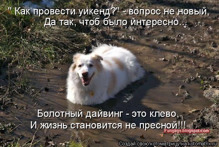 " Как провести уикенд?" - вопрос не новый, Да так, чтоб было интересно... Болотный дайвинг - это клев... Котоматрица: " Как провести уикенд?" - вопрос не новый, Да так, чтоб было интересно... Болотный дайвинг - это клево, И жизнь становится не пресной!!!