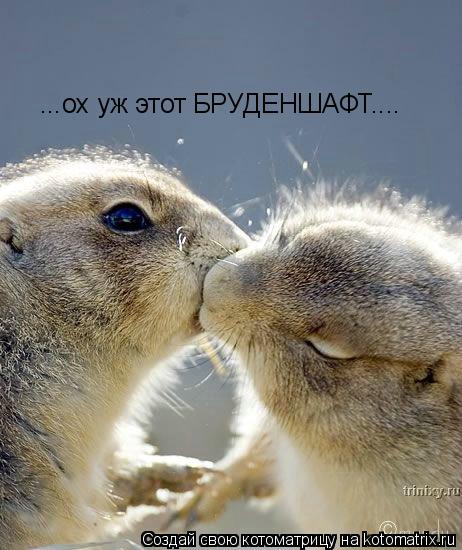 ...ох уж этот БРУДЕНШАФТ....... Котоматрица: ...ох уж этот БРУДЕНШАФТ....