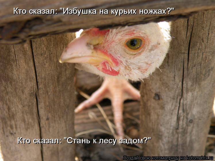 Кто сказал: "Избушка на курьих ножках?" Кто сказал: "Стань к лесу задом?"... Котоматрица: Кто сказал: "Избушка на курьих ножках?" Кто сказал: "Стань к лесу задом?"