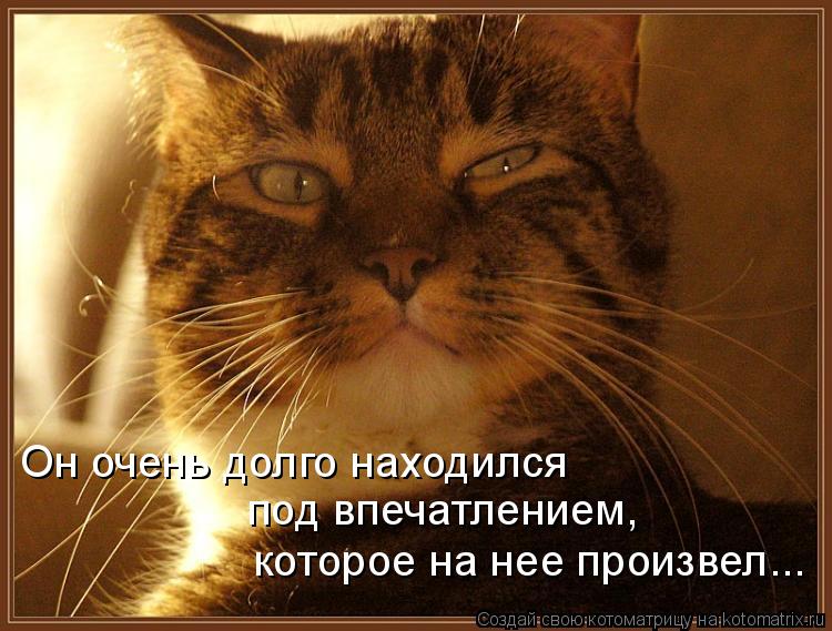 которое на нее произвел... Он очень долго находился под впечатлением,... Котоматрица: которое на нее произвел... Он очень долго находился под впечатлением,
